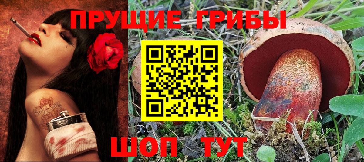 Псилоцибиновые грибы MAGIC MUSHROOMS Печора