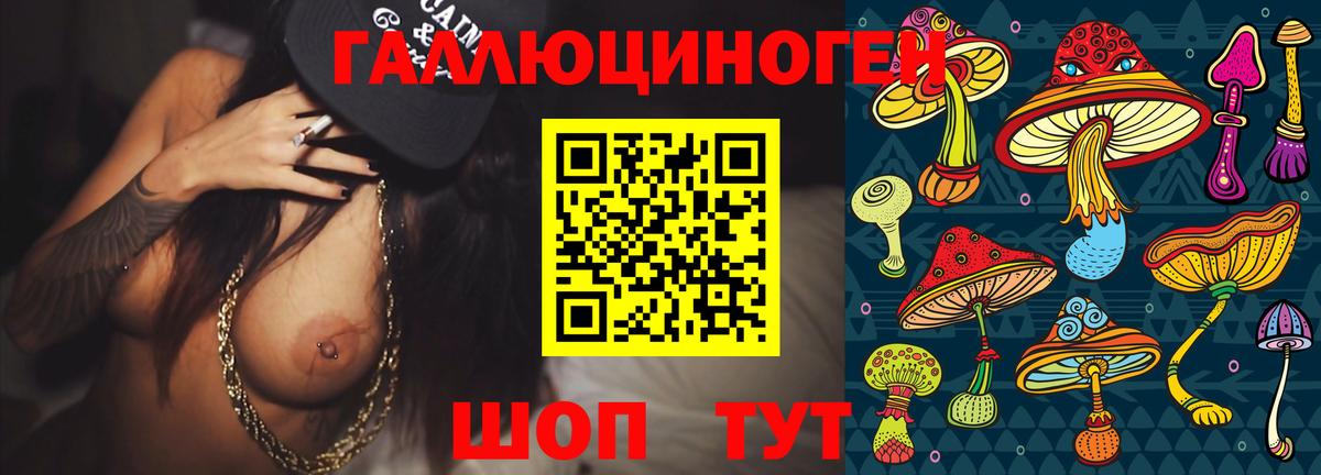 Печора  Псилоцибиновые грибы MAGIC MUSHROOMS  Вход с VPN 